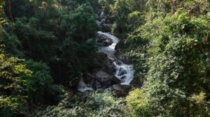 Chiang Mai Waterfall (1)