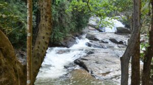 Chiang Mai Waterfall (3)