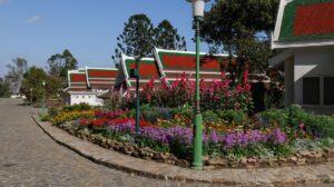 P1000046