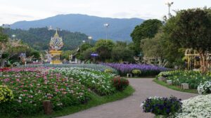 P1000574